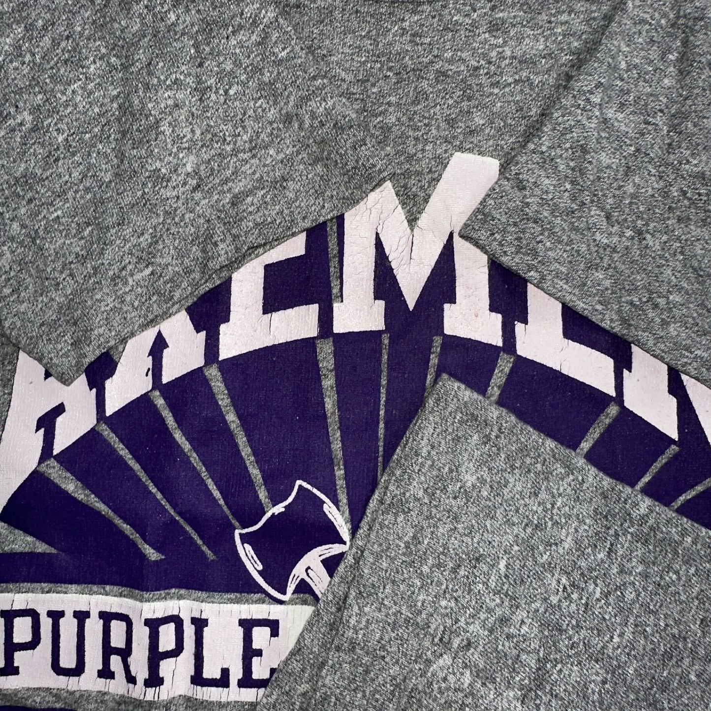 Champion Oregon Axemen VTG T Shirt Eugene High School 80s 1980s Rare School Gray