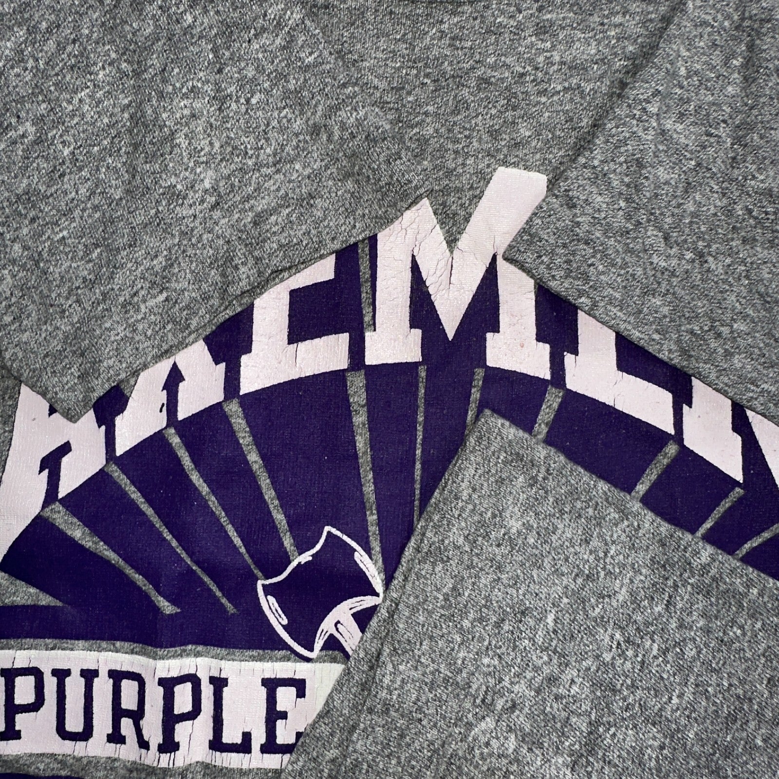 Champion Oregon Axemen VTG T Shirt Eugene High School 80s 1980s Rare School Gray