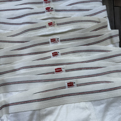 Hanes Briefs Men Size 34 White Cotton Black Stripes 9 Pair Vintage USA Lot 1960s