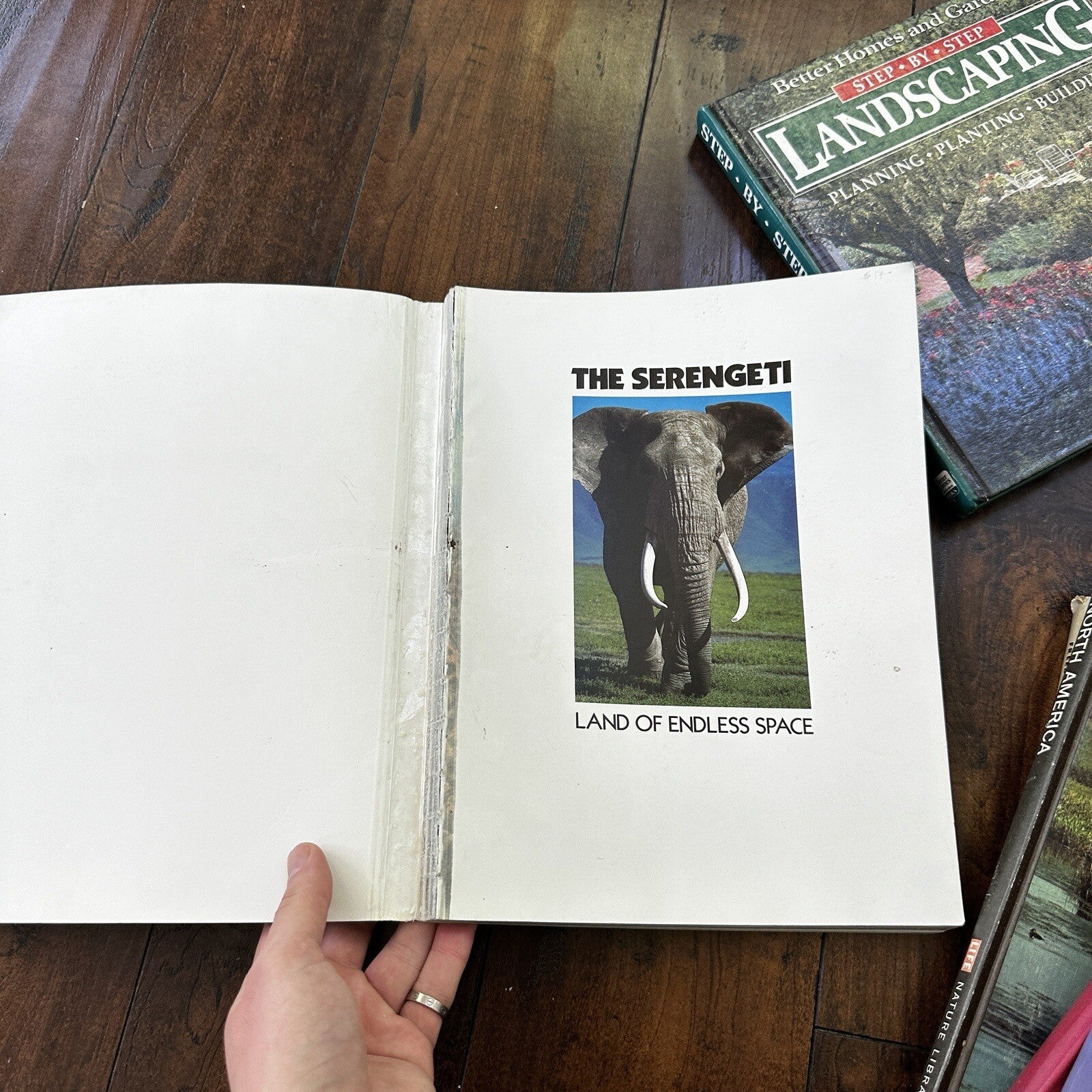 Lot 10 Cool Old Vintage Rare Hardcover Random Books Design Photography Art