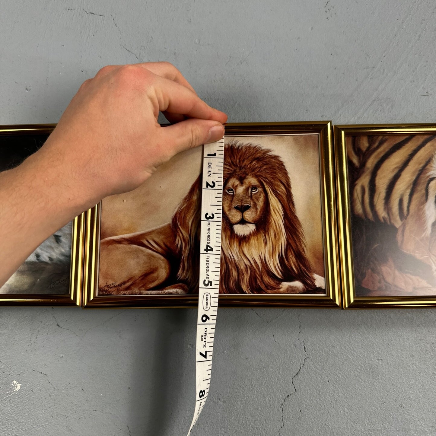 Home Interiors Tiger Framed Picture Toni Woolsey Local Oregon Artist Cats