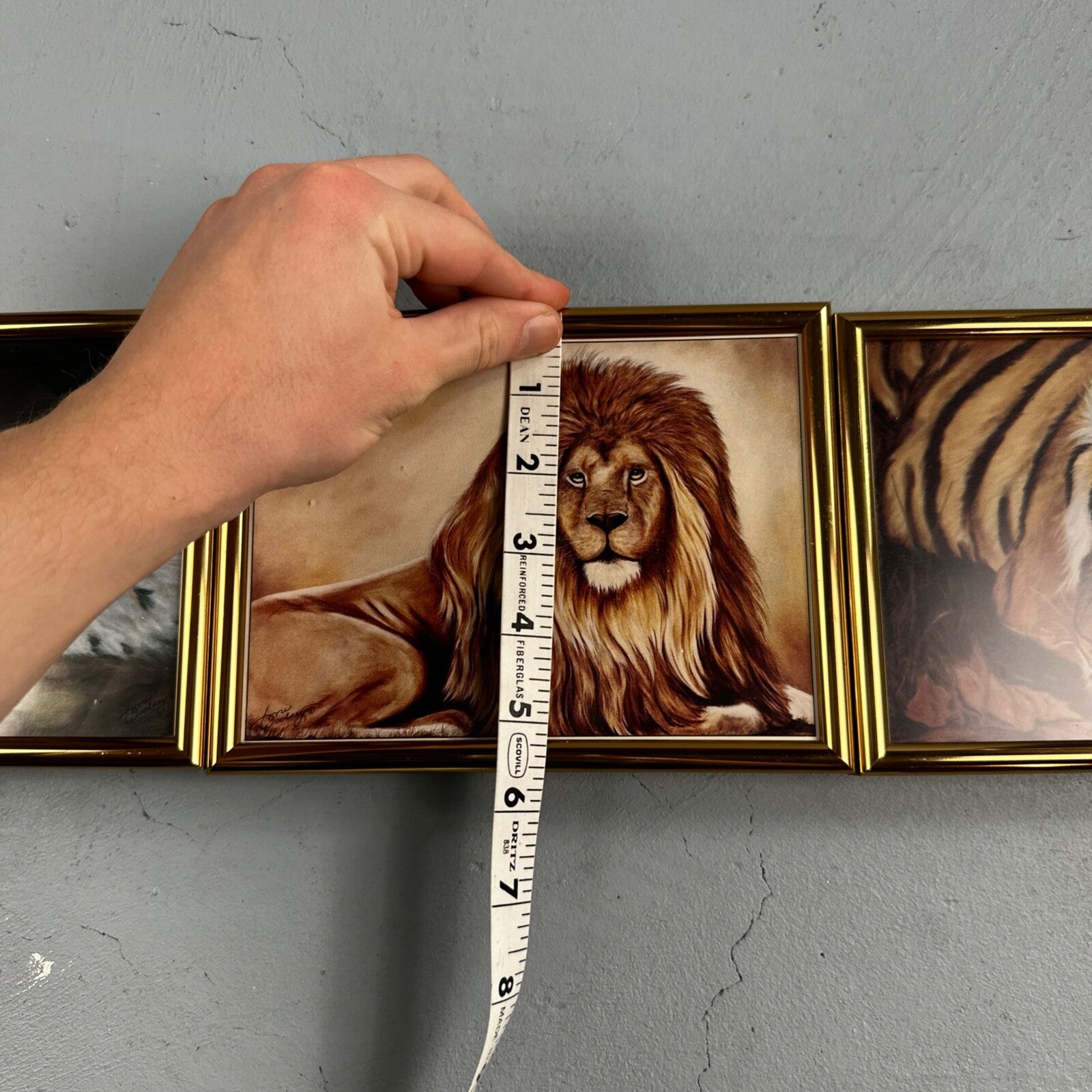 Home Interiors Tiger Framed Picture Toni Woolsey Local Oregon Artist Cats