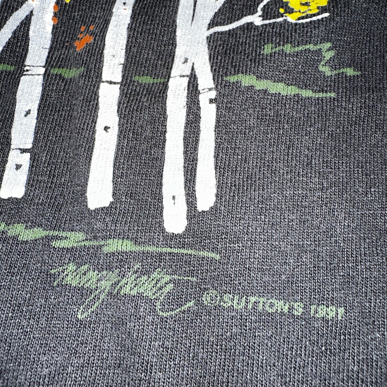 Colorado Nature Trees Autumn VTG T Shirt 80s Stedman Black Graphic Single Stitch