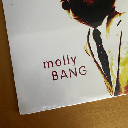 SEALED molly BANG ‎– gerbil tube lariat  LP  Portland Oregon Lo Fi u2 rem VINYL