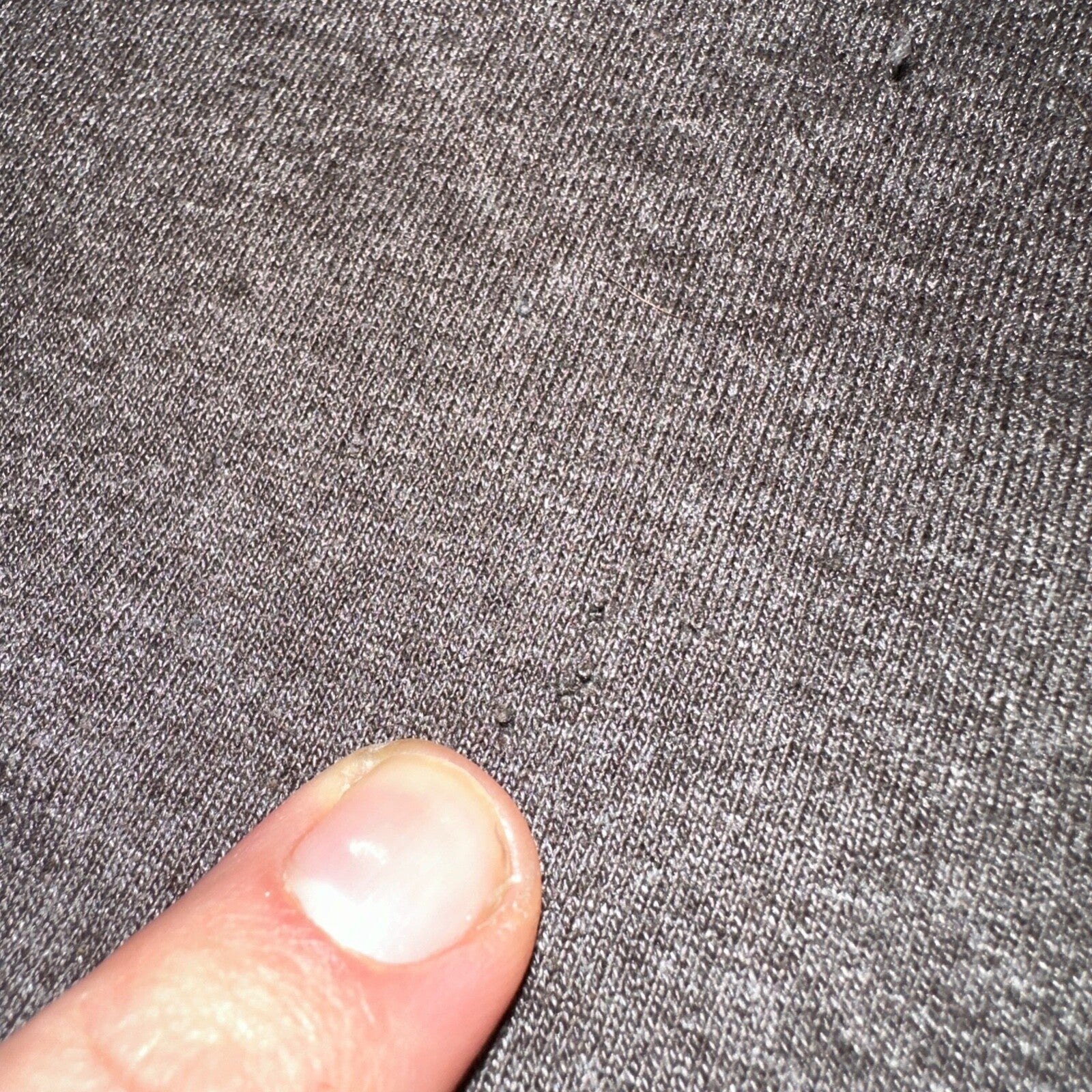 Buck Wear Funny Deers and Beers VTG T Shirt Redneck Brown Y2K Cool Hunting Joke