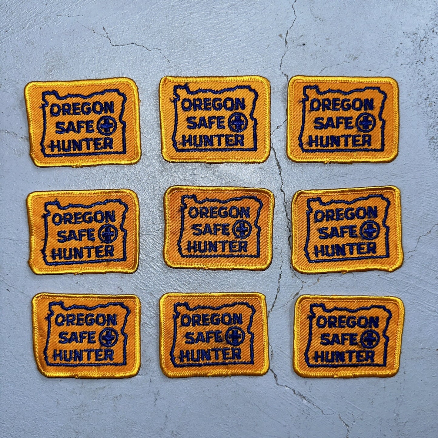 OREGON SAFE HUNTER Patch Badge VTG Insignia 1960s Hunting Qualification Rare Lot