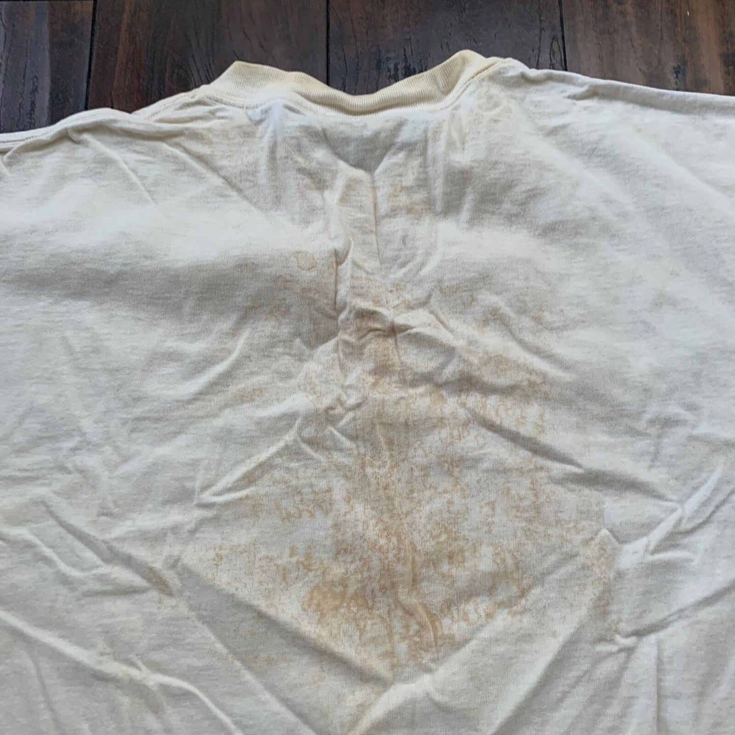 I Got Fresh Vintage T Shirt Nevada Fruits Market Garden Food Fun Humble 90s Rap