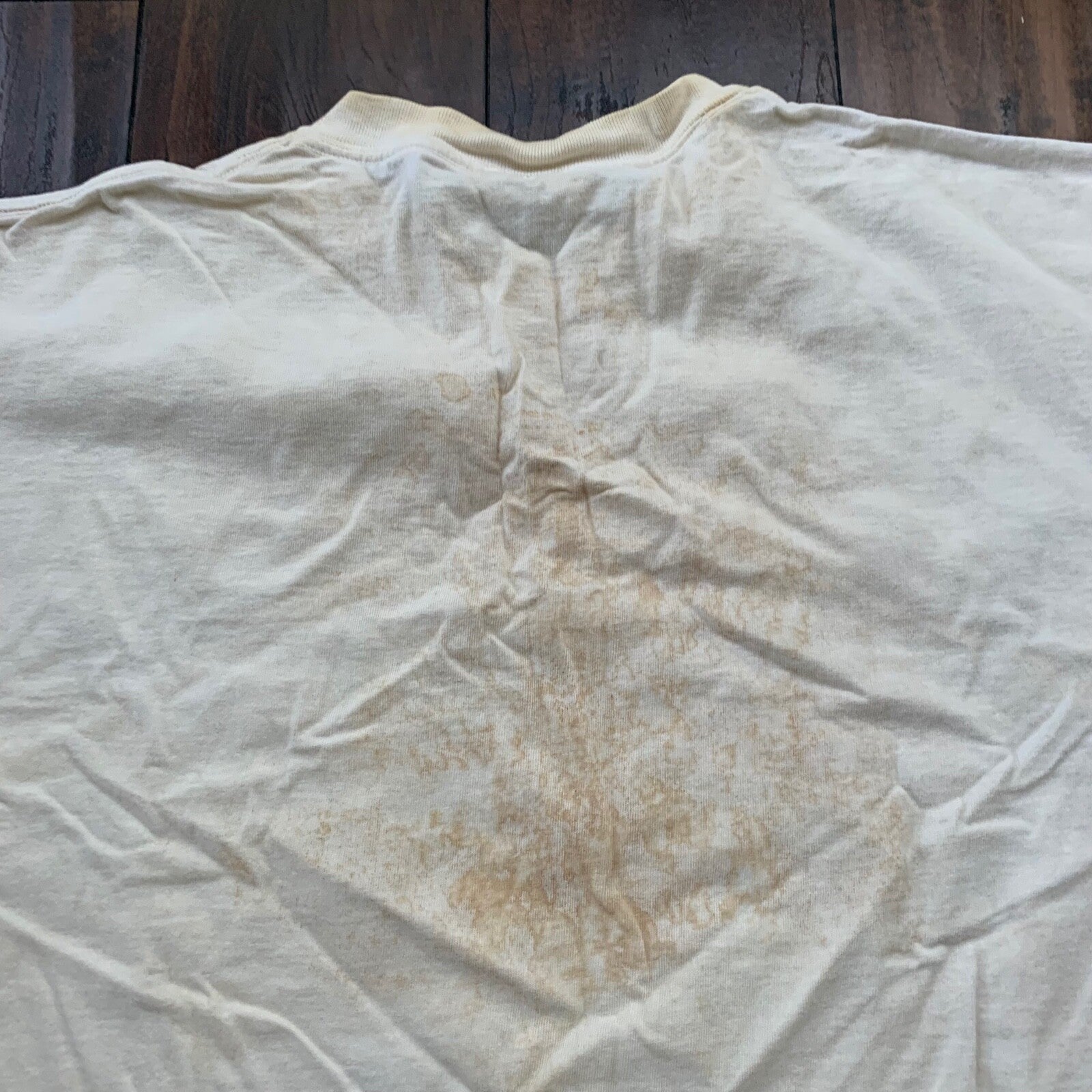 I Got Fresh Vintage T Shirt Nevada Fruits Market Garden Food Fun Humble 90s Rap