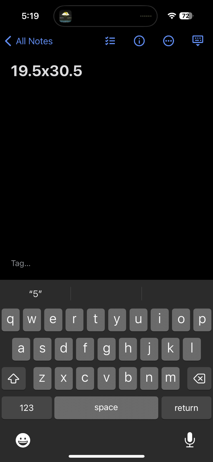 Champion 80s Arizona State VTG T Shirt ASU College University Track Tank Devils