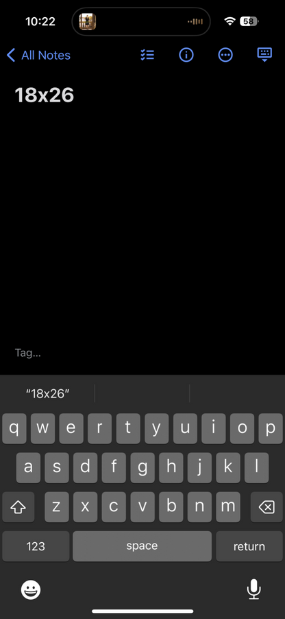 San Diego Zoo VTG T Shirt Koala Hanes Beefy Single Stitch California Graphic 80s