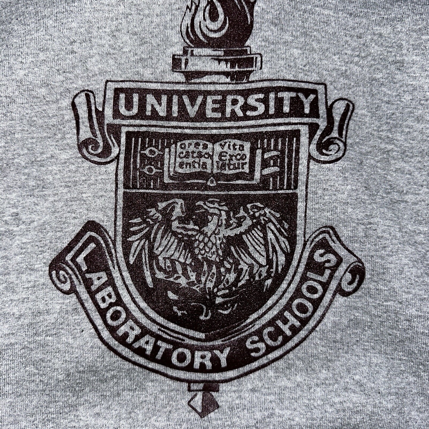 University Chicago Laboratory Schools Russell Athletics Hoodie Champion 90s USA