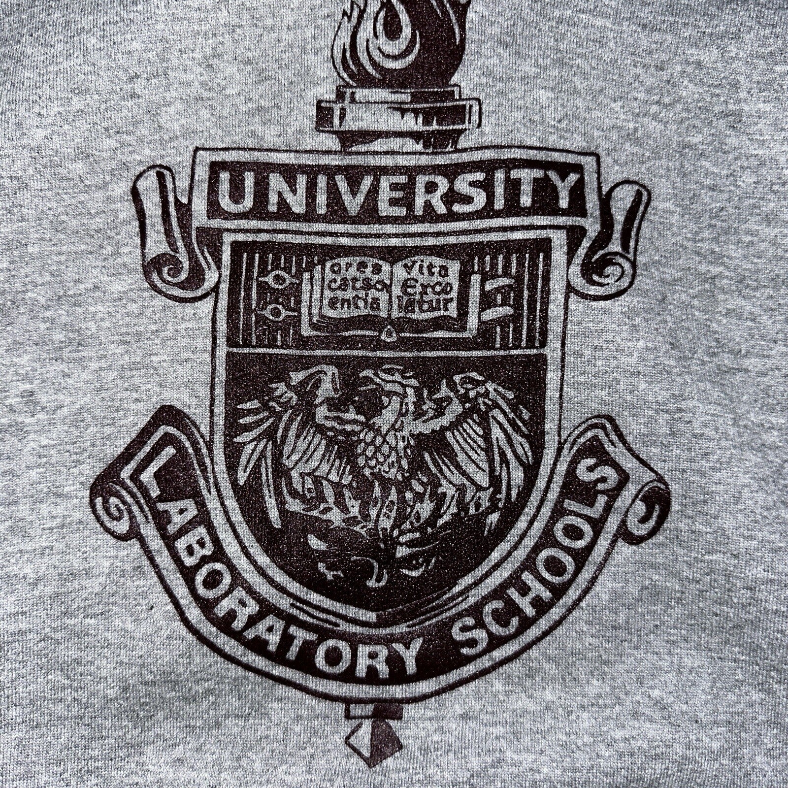 University Chicago Laboratory Schools Russell Athletics Hoodie Champion 90s USA