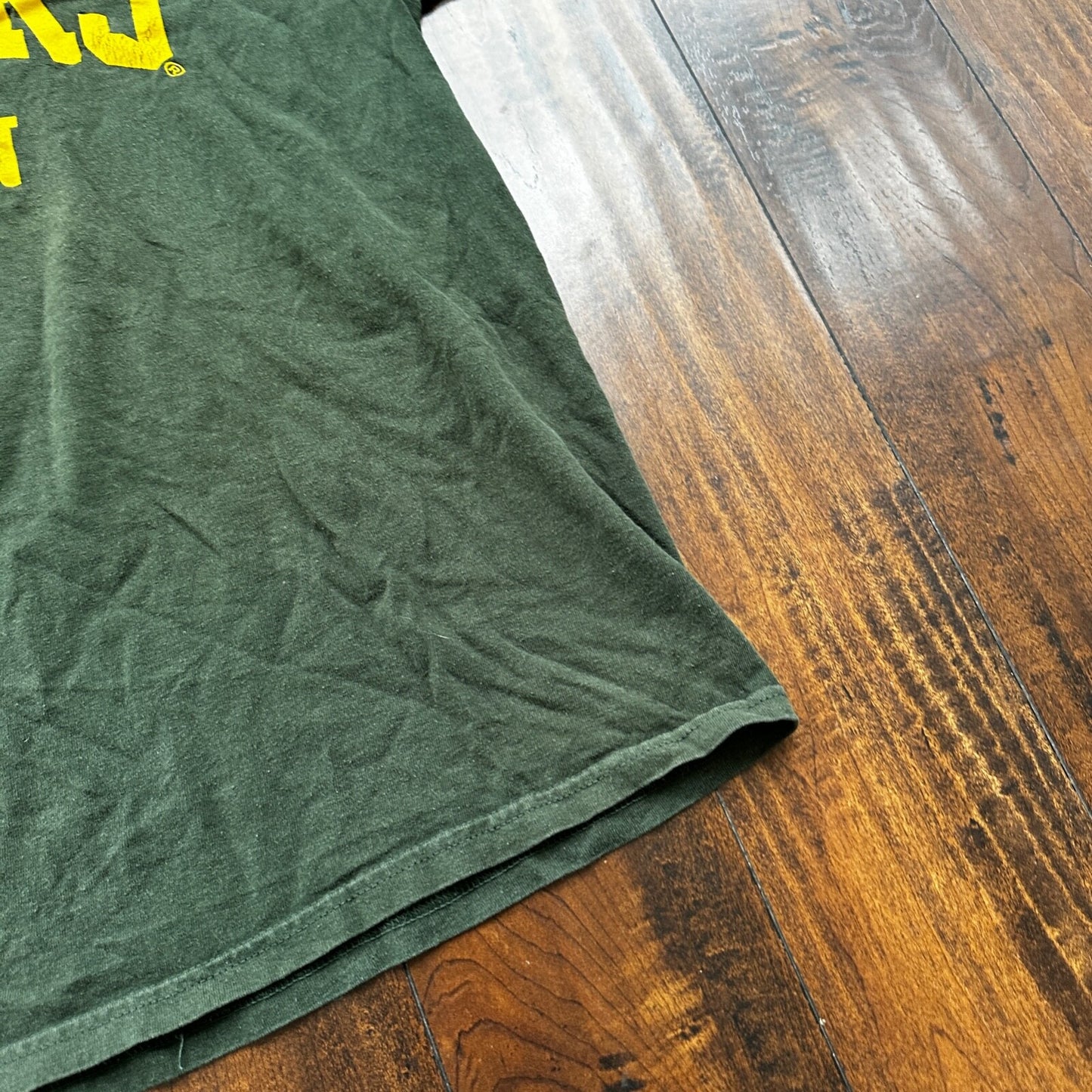 Hooter Oregon Y2K Vintage T Shirt Hot Girl Food Sexy OSU Ducks Green PDX