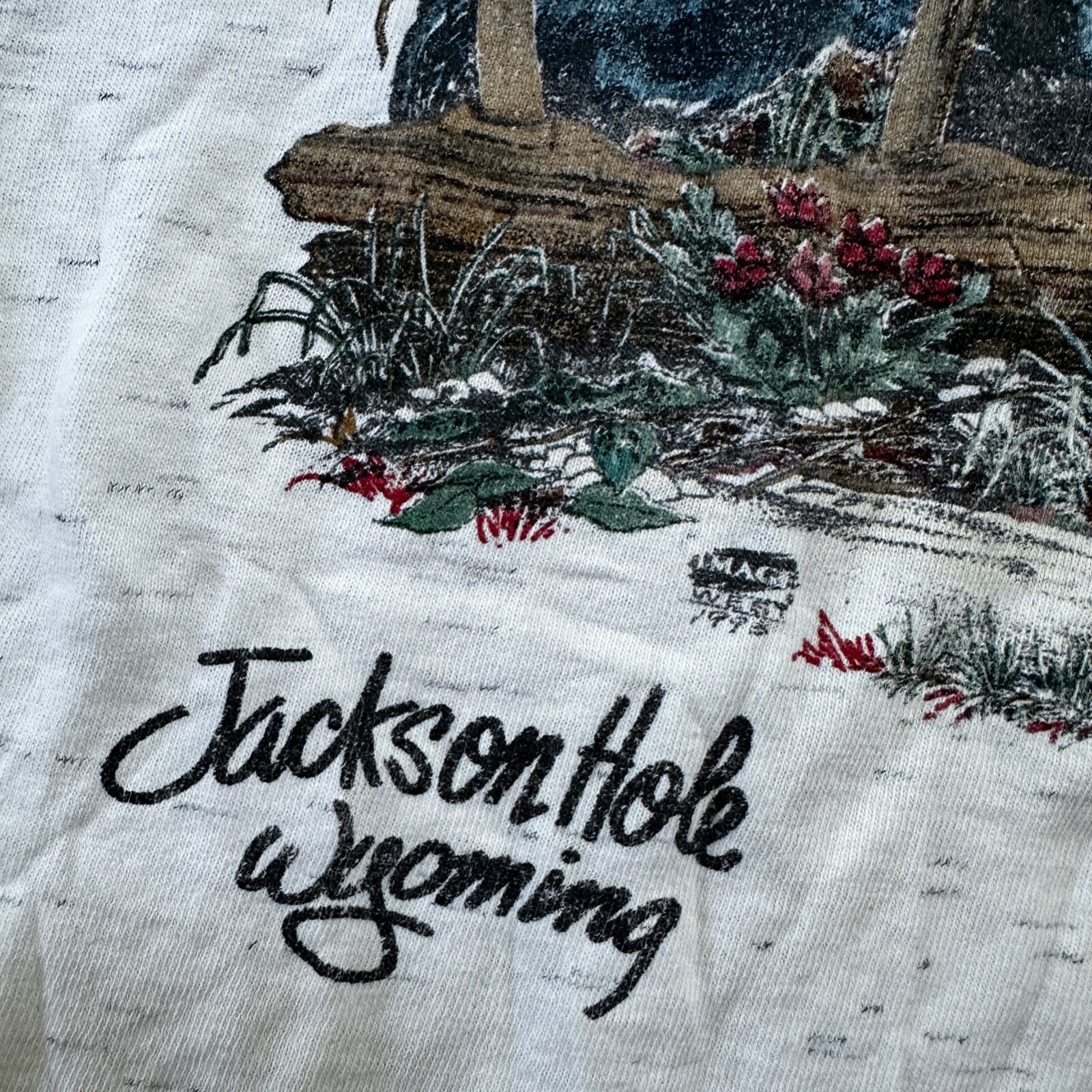 Oneita Blackbears VTG T Shirt 90s Bears Jackson Hole Wyoming Forest Hunting XL