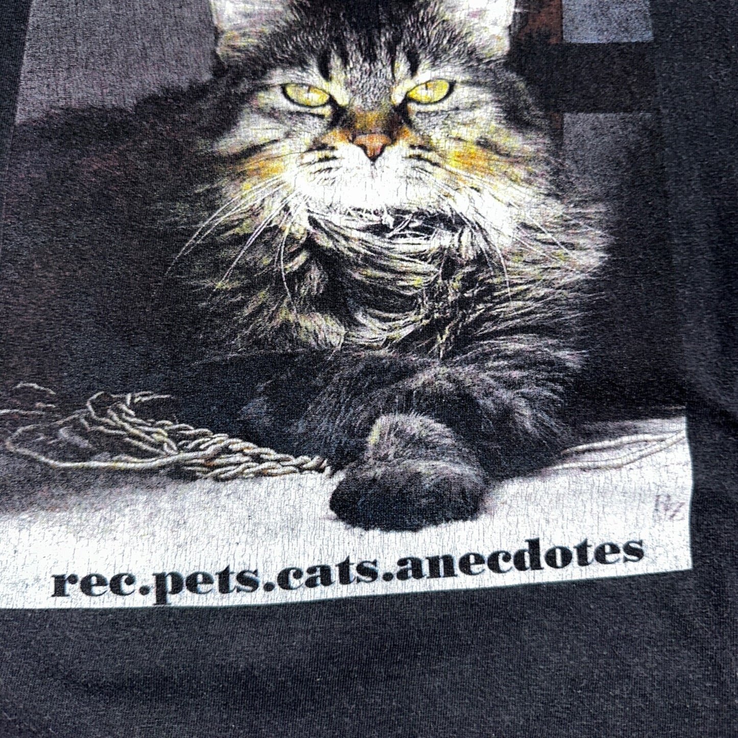 Cat Cattitude VTG T Shirt Y2K 3XL Black Funny Cute Animals Love Photo Art Rap