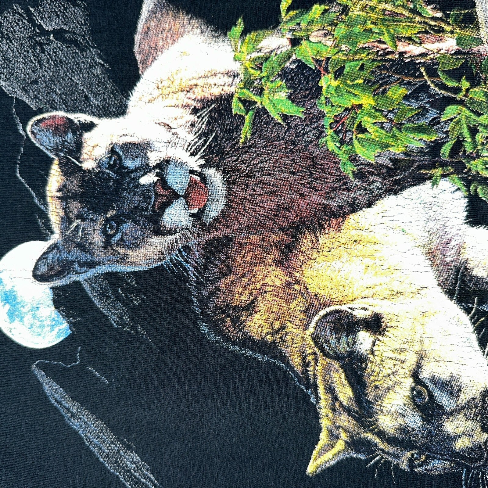 Mountain Lion VTG T Shirt Jim Morris Animal Graphic David Brower Environmental