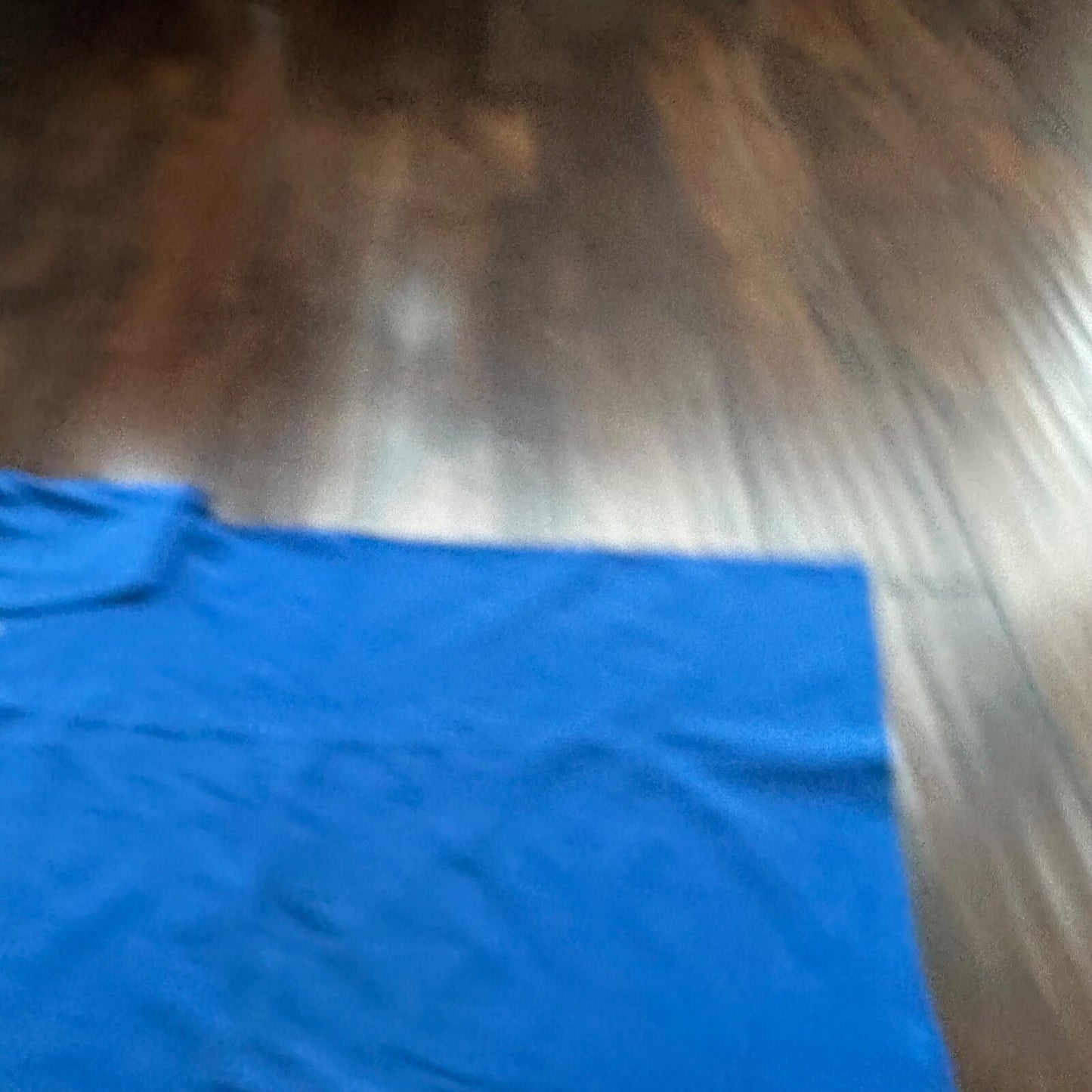 Hanes XL 50/50 Vintage T Shirt Rockwest Oregon PDX Blue Single Stitch Thrashed