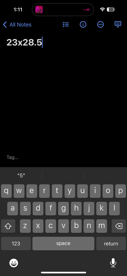 Airplane Portland Oregon Vintage T Shirt Flying Pilot Bald Eagle USA America