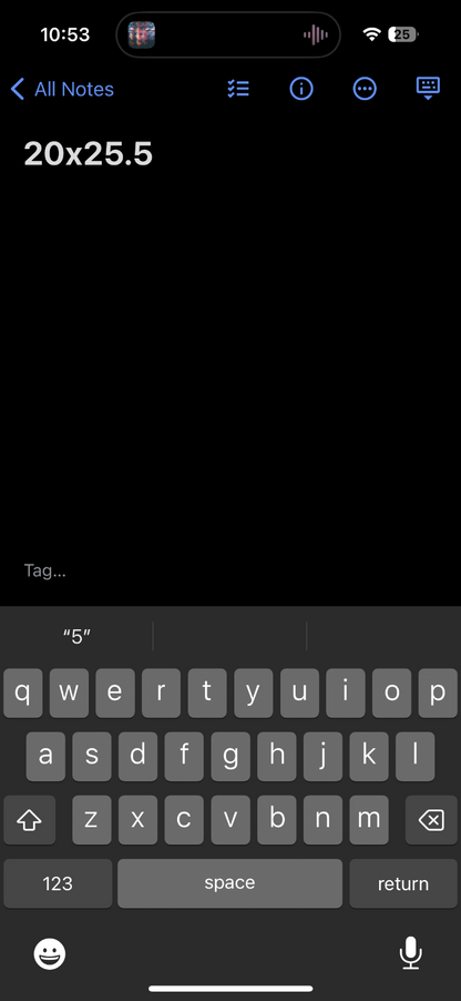 Seattle Birdhouse VTG T Shirt Birds Chopped Sleeves Thrashed Distressed Graphic