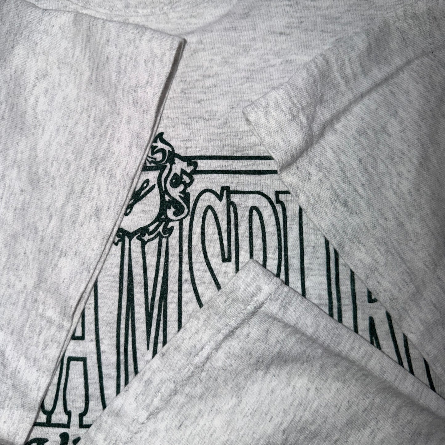 Williamsburg Virgina Travel VTG T Shirt XL USA Gray Graphic Tee Single Stitch