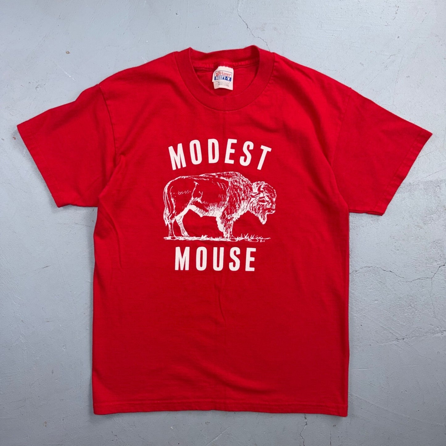 Modest Mouse Y2K Buffalo VTG T Shirt Music Band YOUTH LARGE Rare Promo Tee