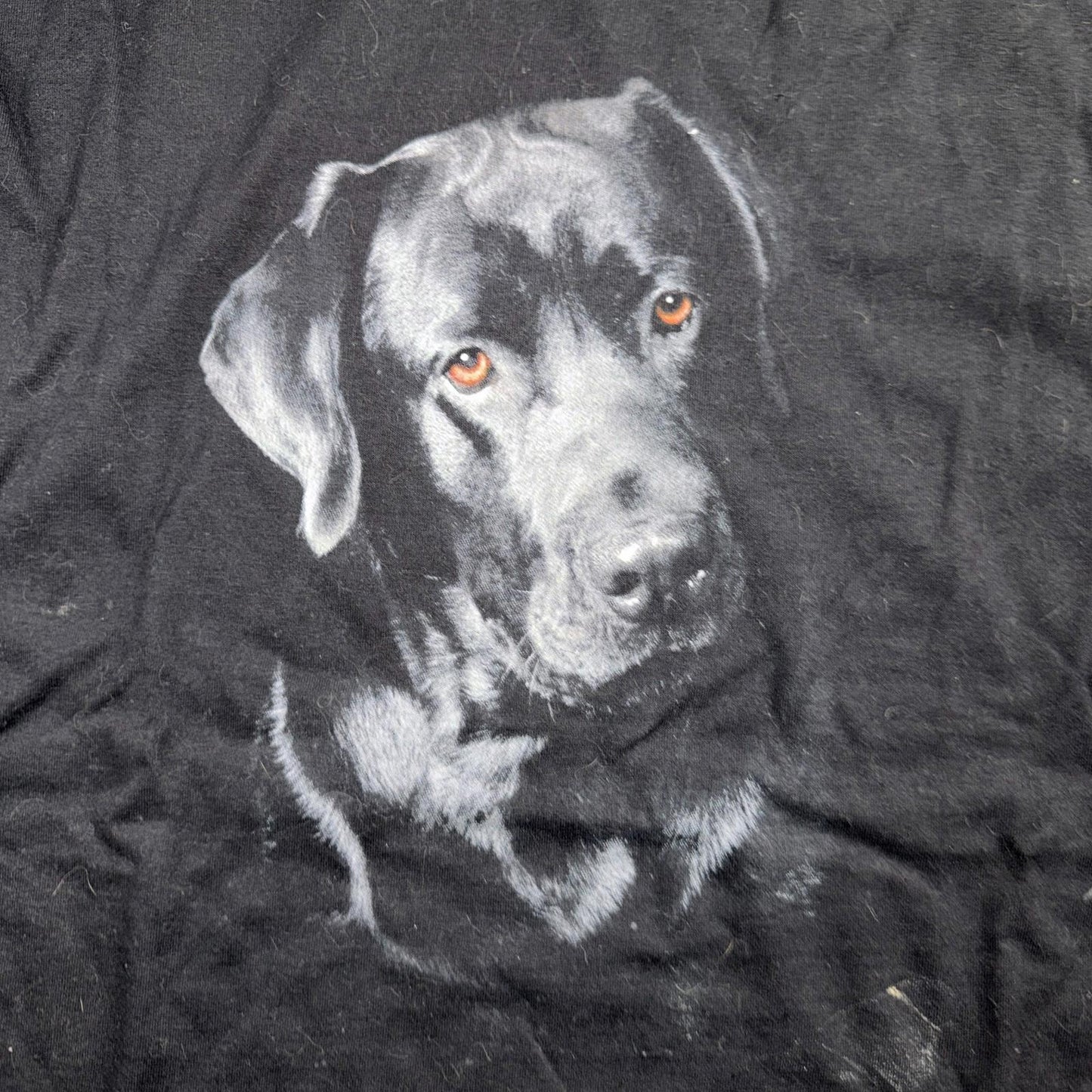 Black Lab Dog VTG T Shirt Art Photograph Animals Grunge Music Ducks Graphic 2XL
