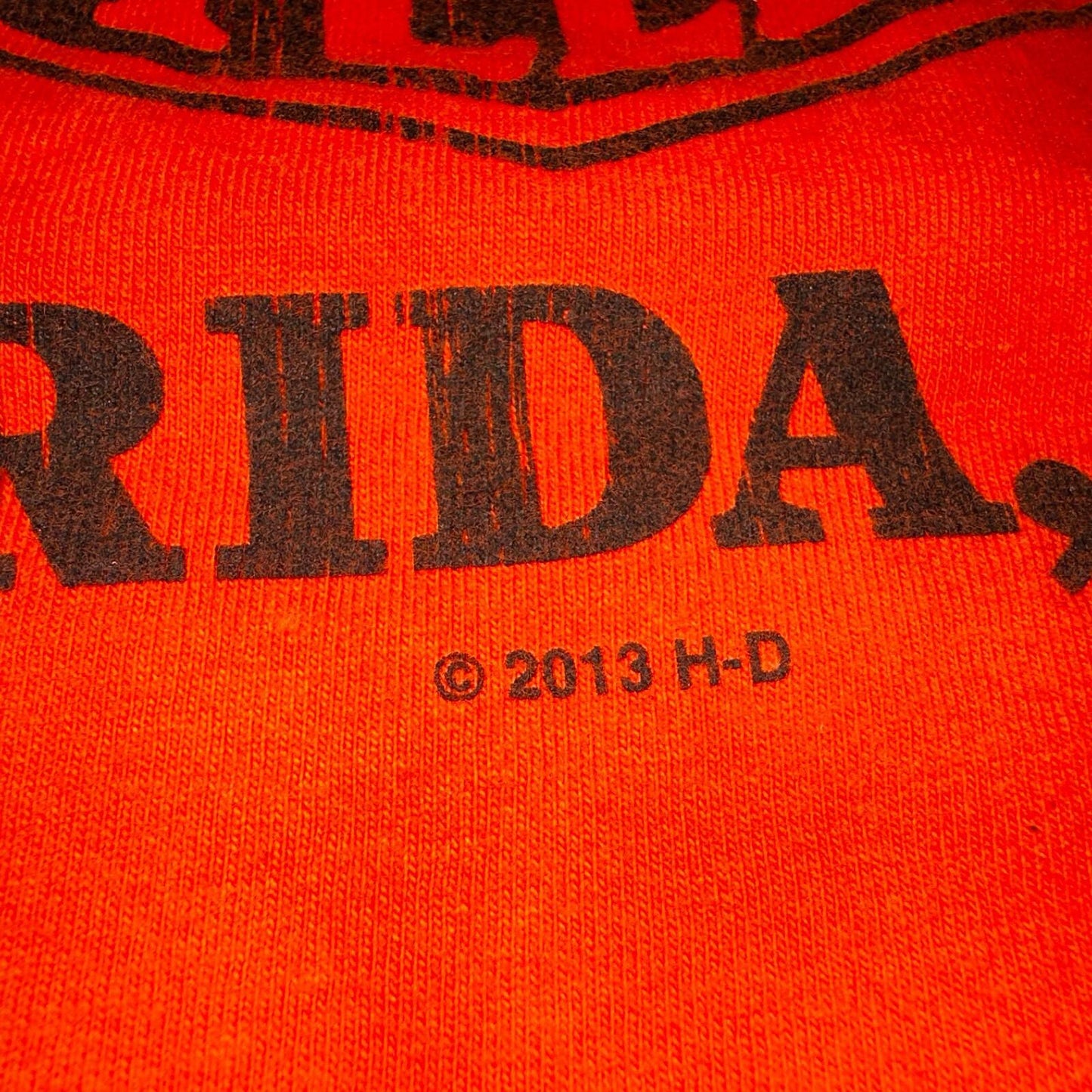 Harley Davidson Orlando Florida VTG T Shirt Motorcycle Bike Graphic Y2K Ride