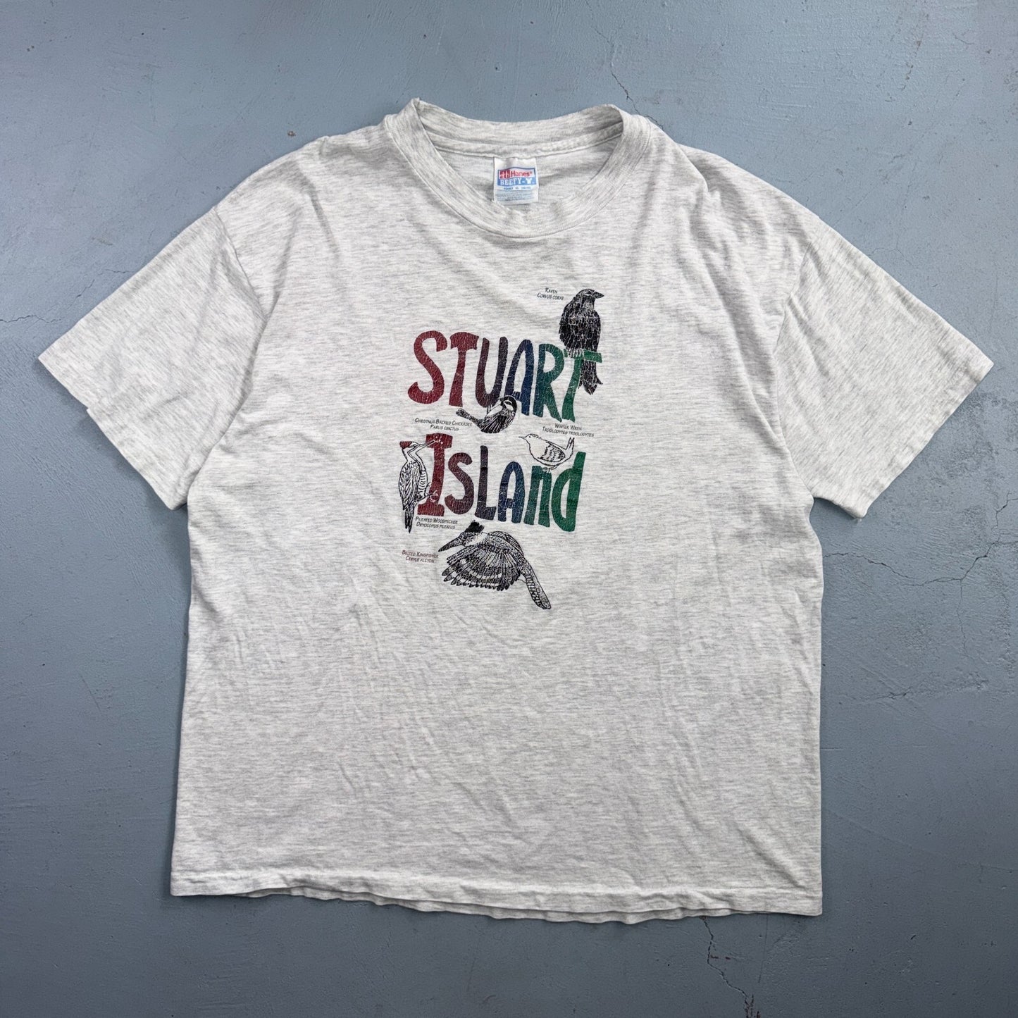 Vintage Stuart Island Washington T Shirt Bird Wildlife Nature Graphic Tee 90s