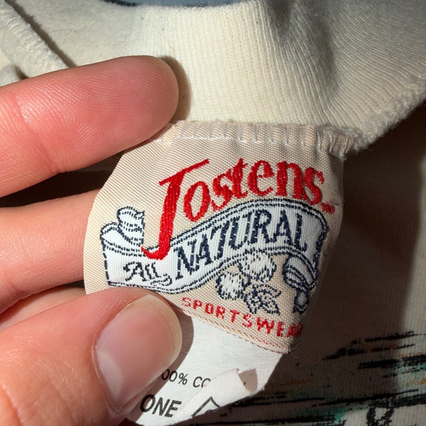 Cheetah Jostens VTG T Shirt 90s Animal Africa Lions Tigers Wildlife Fund Graphic