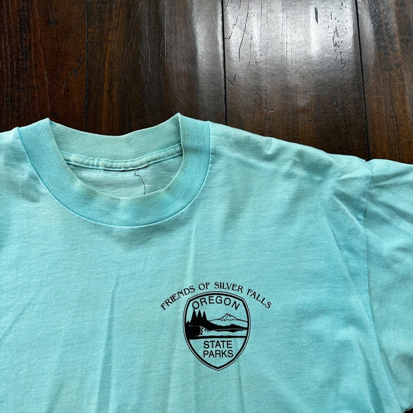 Silver Falls Oregon VTG T Shirt Single Stitch Blue Swimming Boat Cool Teal