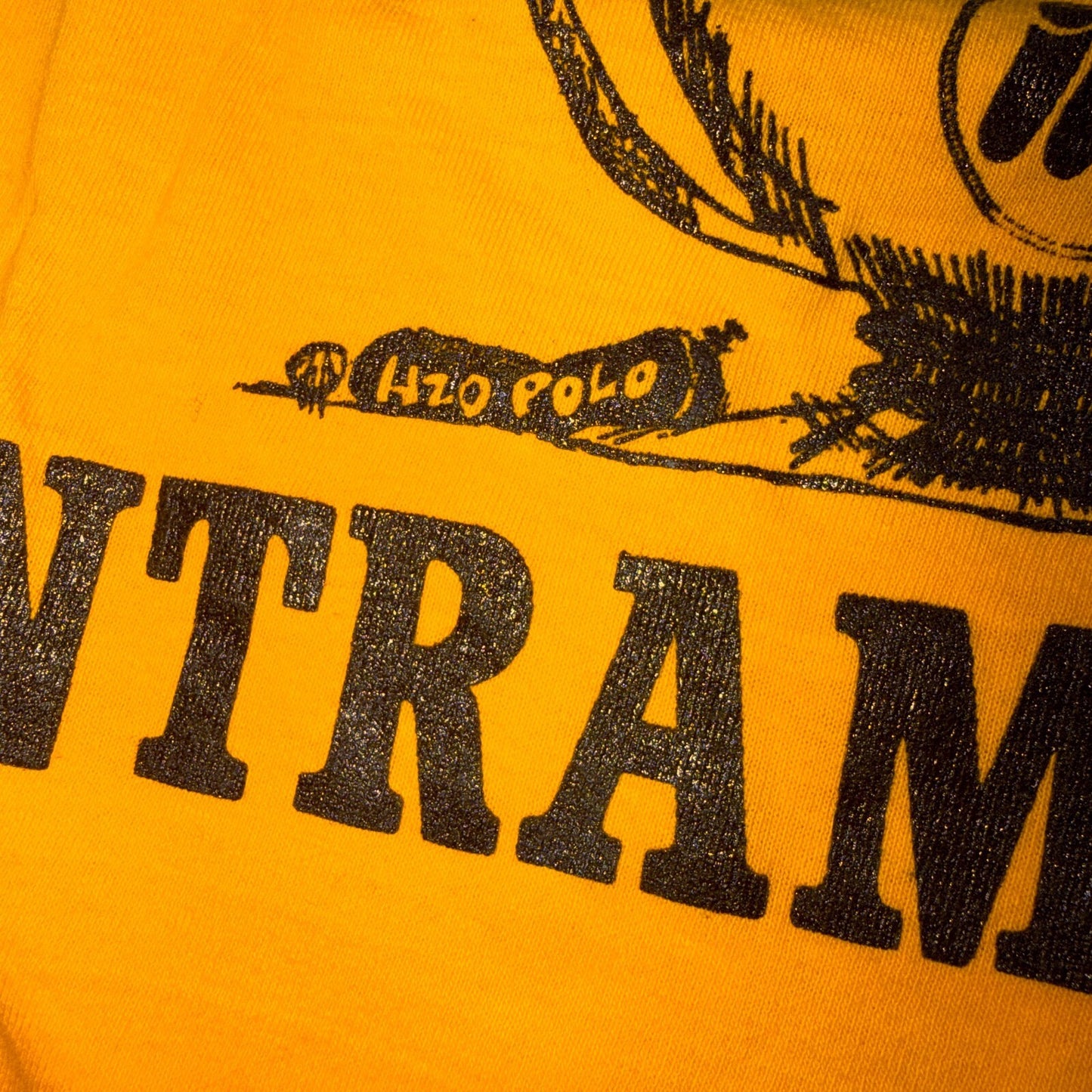VTG 70s CSULB Intramurals Long Beach State University College Sports Graphic T S
