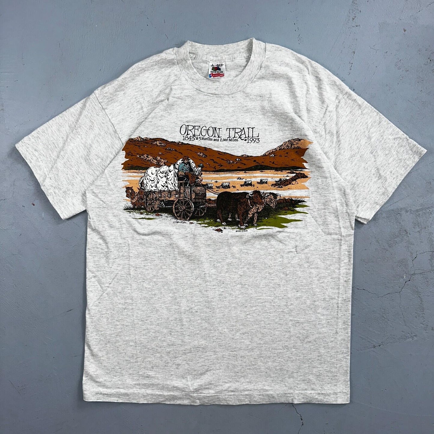 Oregon Trail 90s VTG T Shirt 1993 Gray Single Stitch Travel USA Sunset Rare