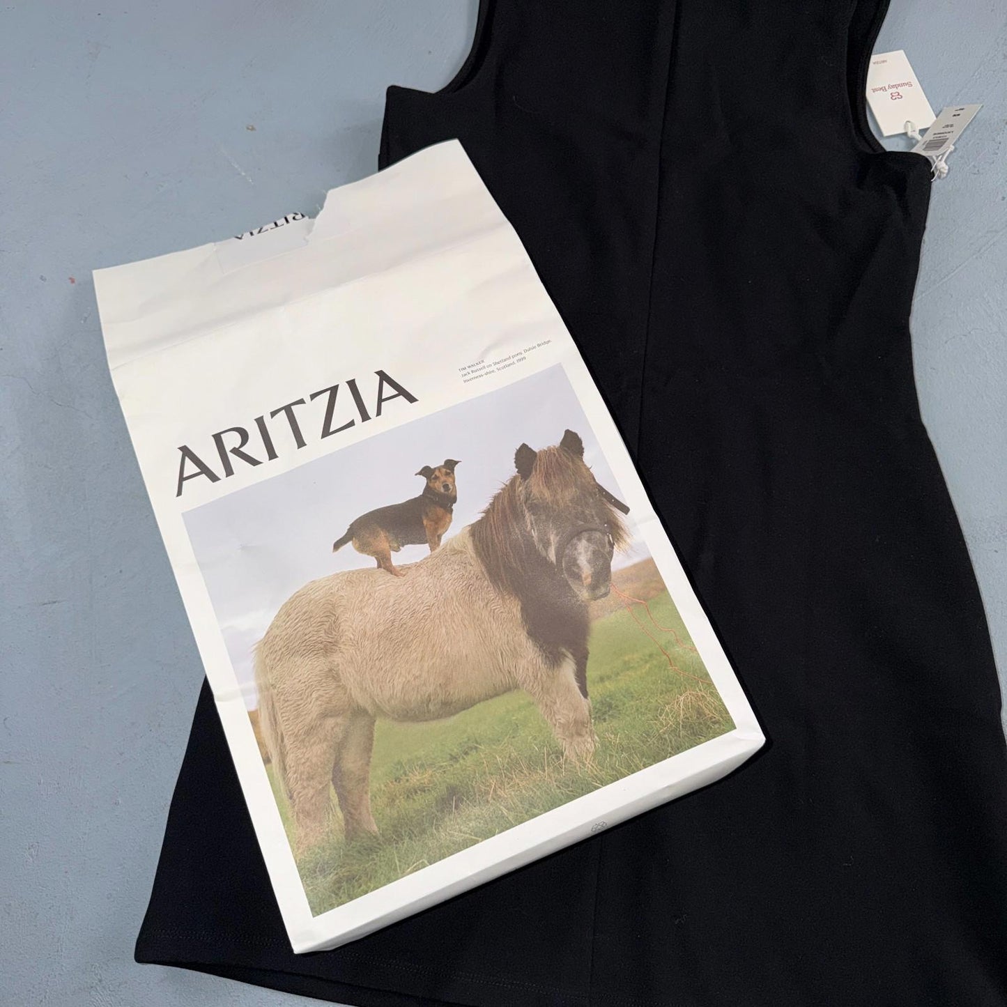 Aritzia Sunday Best Caruso Black Mini Dress Women’s Licorice Ponte Dress