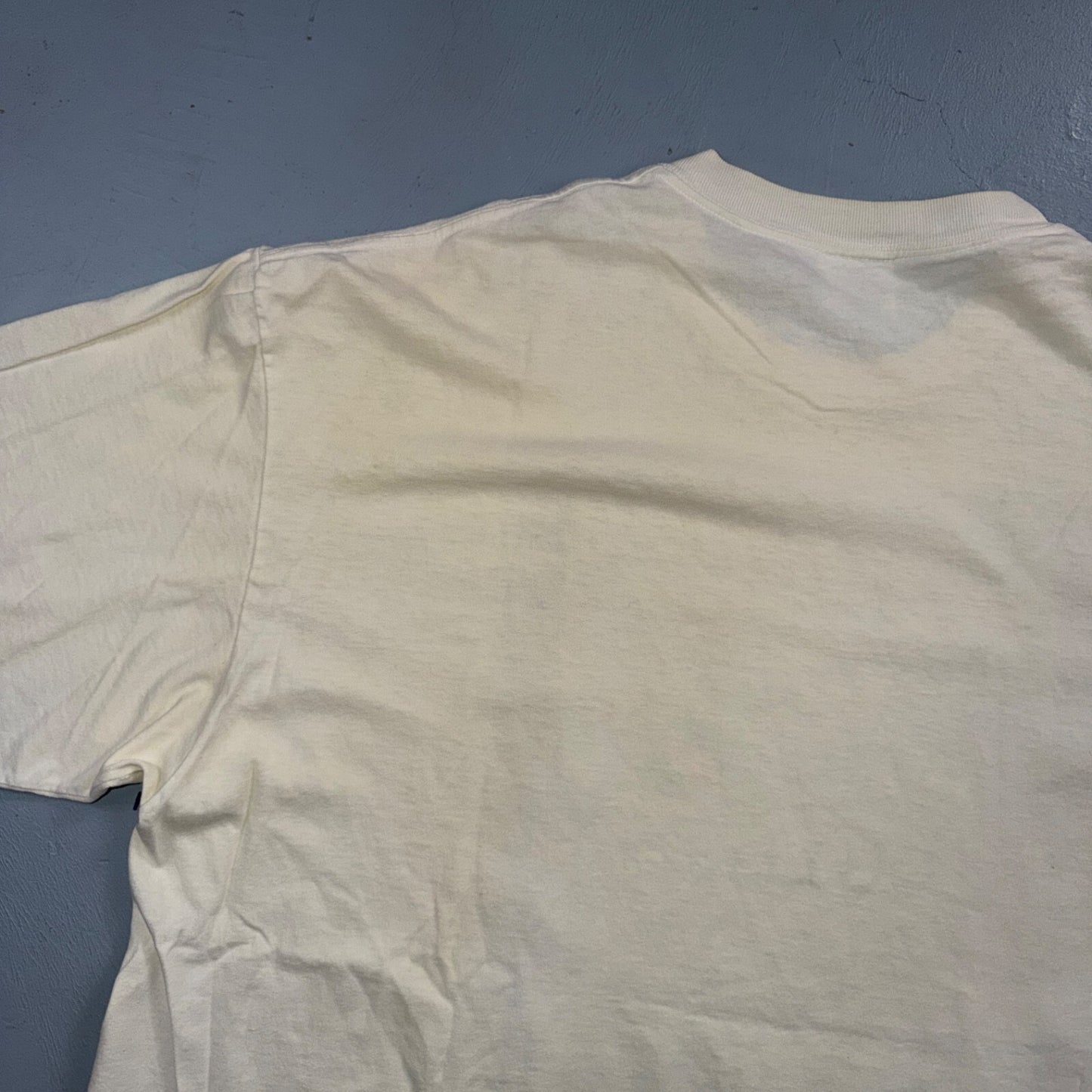 Ray Troll 1996 VTG T Shirt Oh Chum All Ye Faith Fishing Fish Bait Rare Oneita