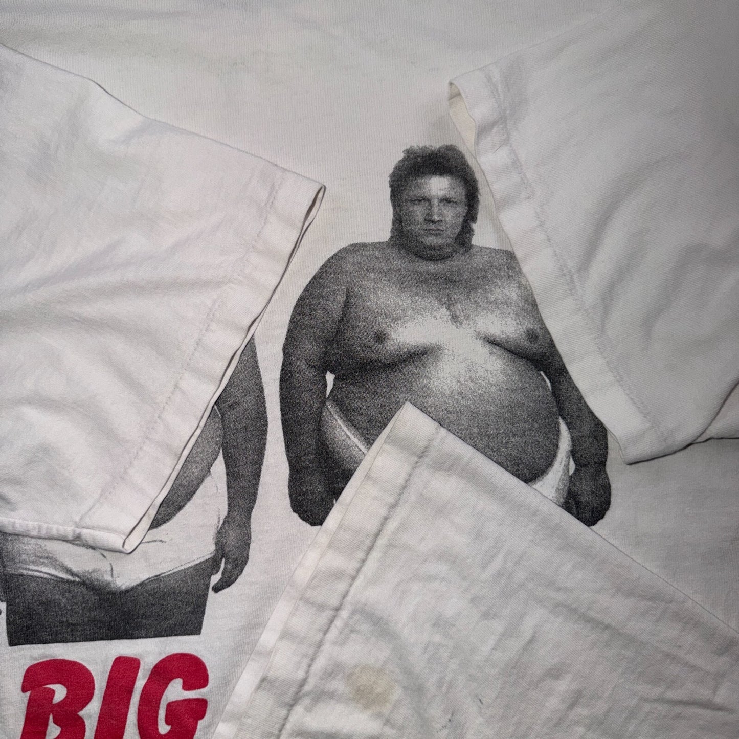 VTG Big Fun T Shirt Funny Photo Graphic Novelty Humor Tee 90s Mark Brian Oneita