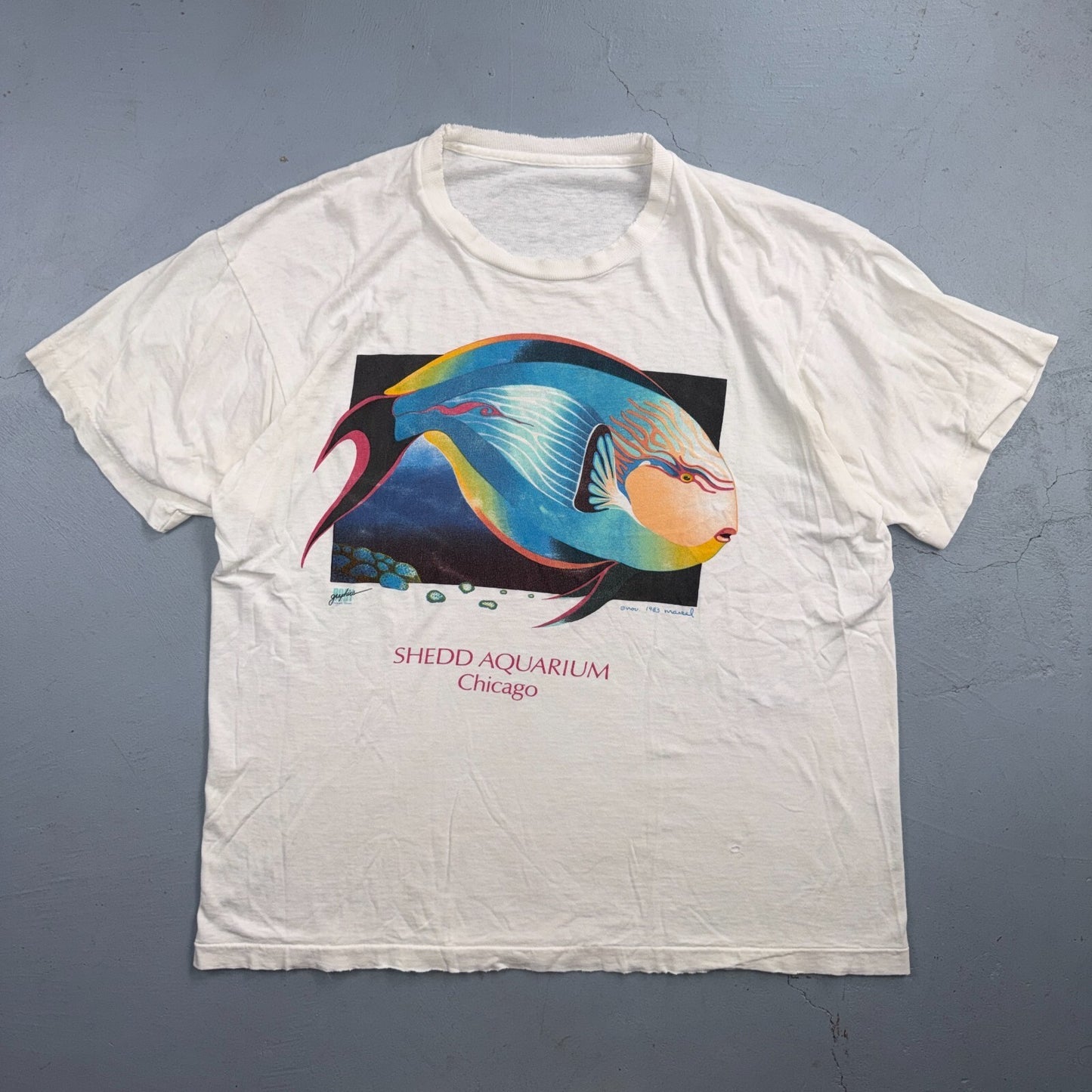 Shedd Aquarium Chicago 80s VTG T Shirt Fish Ocean Travel Museum Art Graphic