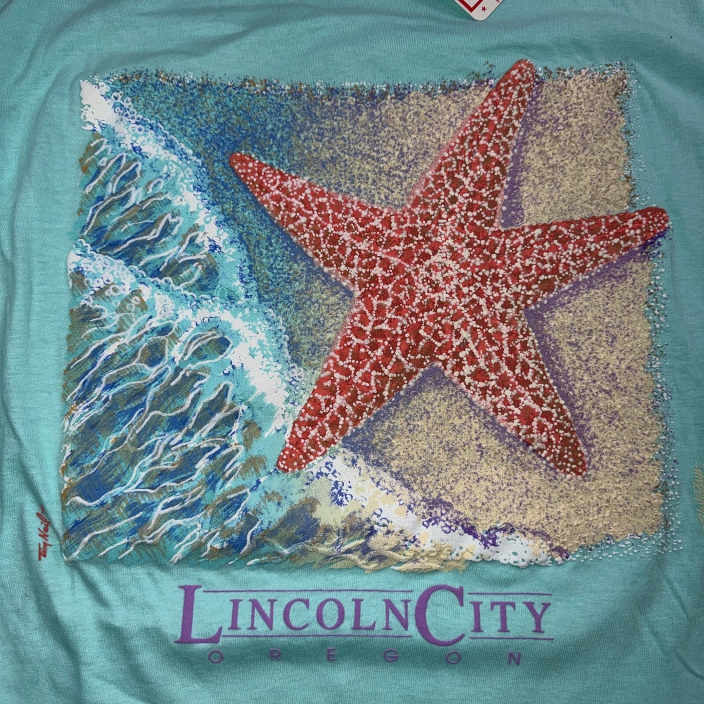 Lincoln City Hanes 1980s VTG T Shirt DS Starfish Ocean Aquarium Cool Oregon Bay