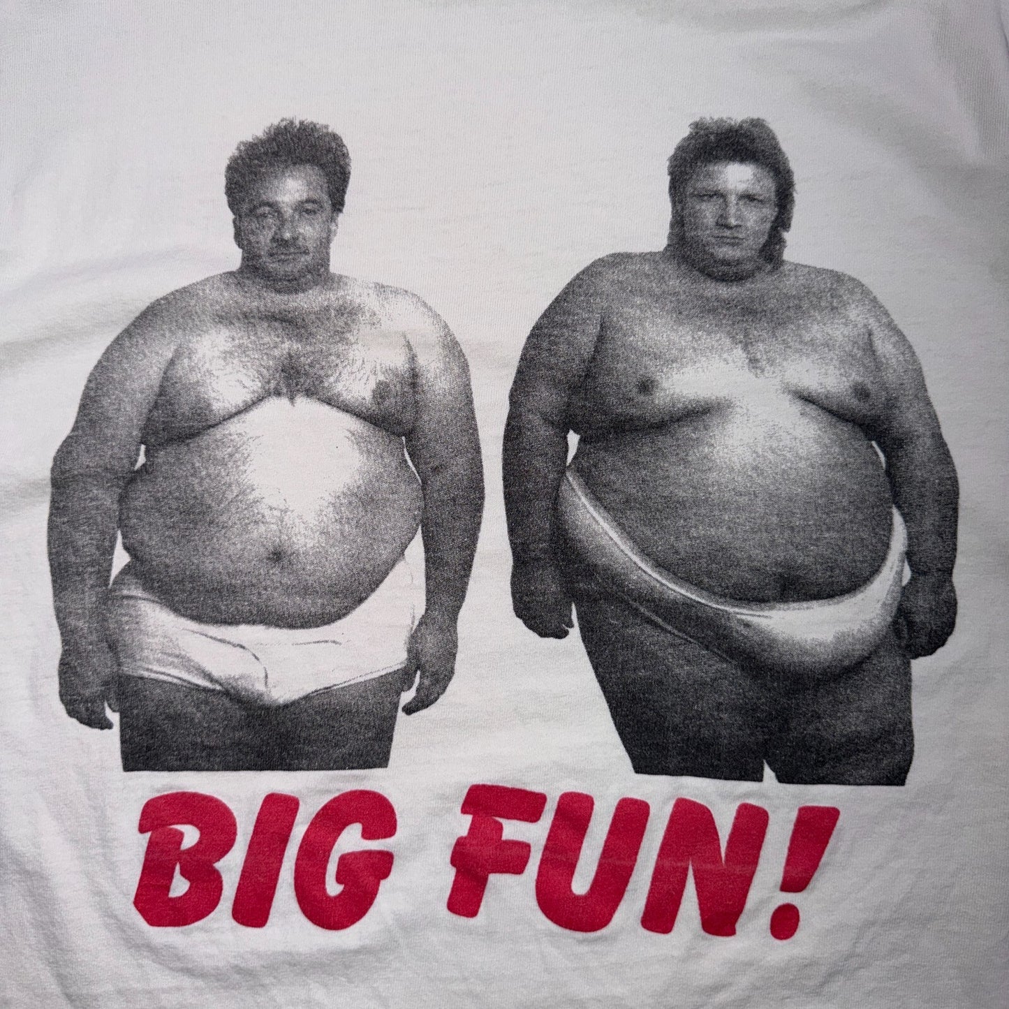 VTG Big Fun T Shirt Funny Photo Graphic Novelty Humor Tee 90s Mark Brian Oneita