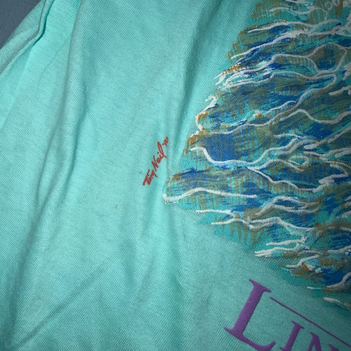 Lincoln City Hanes 1980s VTG T Shirt DS Starfish Ocean Aquarium Cool Oregon Bay