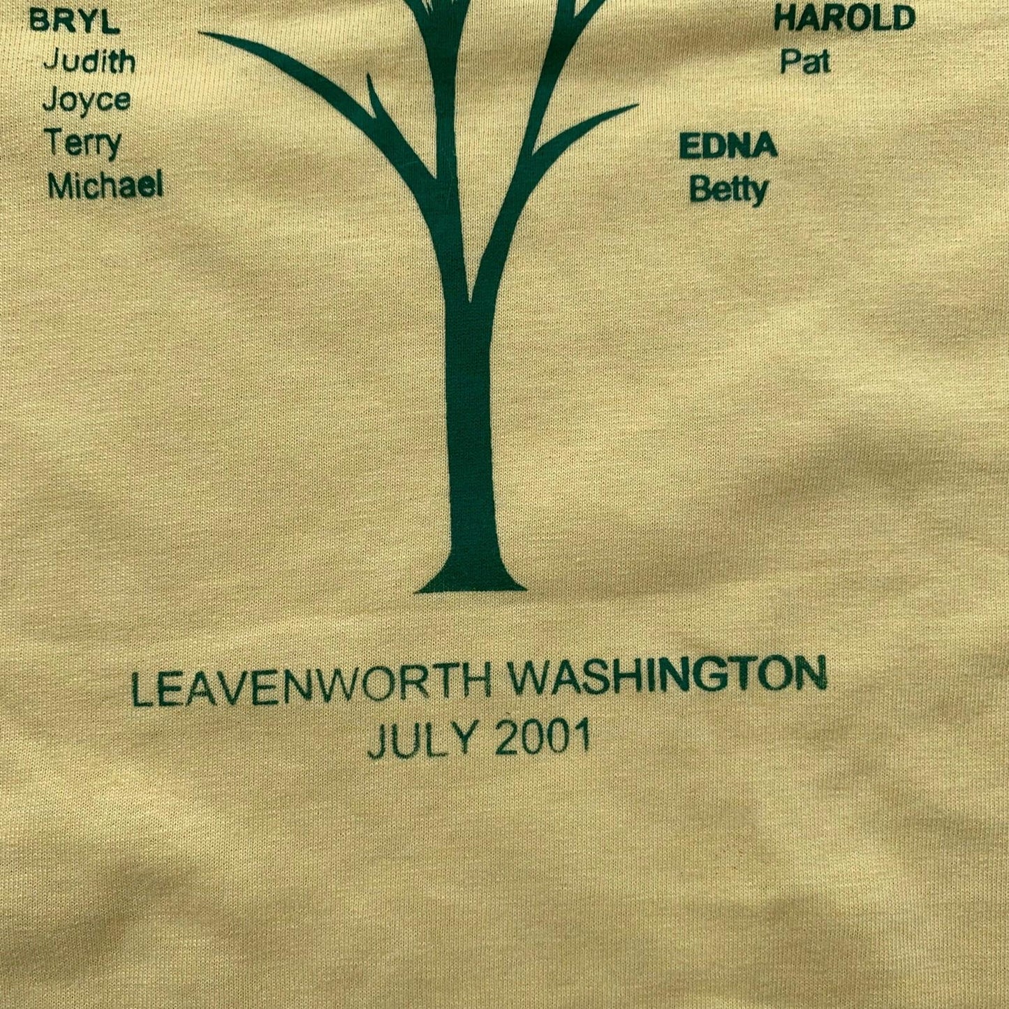Leavenworth Washington Vintage T Shirt Seattle July 2001 Y2K Fletcher Reunion