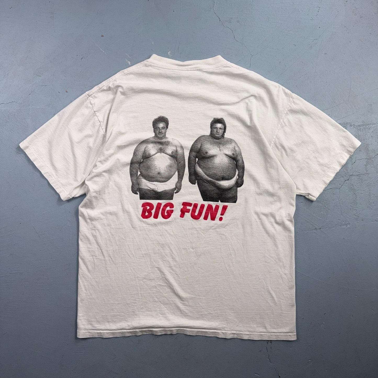 VTG Big Fun T Shirt Funny Photo Graphic Novelty Humor Tee 90s Mark Brian Oneita