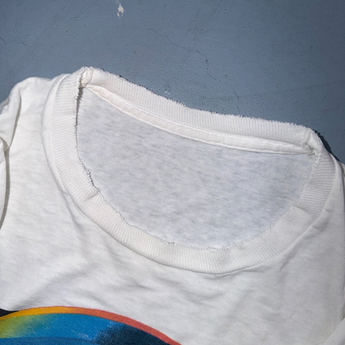 Shedd Aquarium Chicago 80s VTG T Shirt Fish Ocean Travel Museum Art Graphic