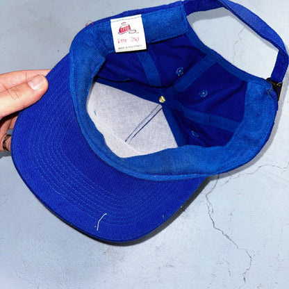Shoshone First Bank VTG Hat Cap Snapback Buffalo Otto Blue Animals Love Cool