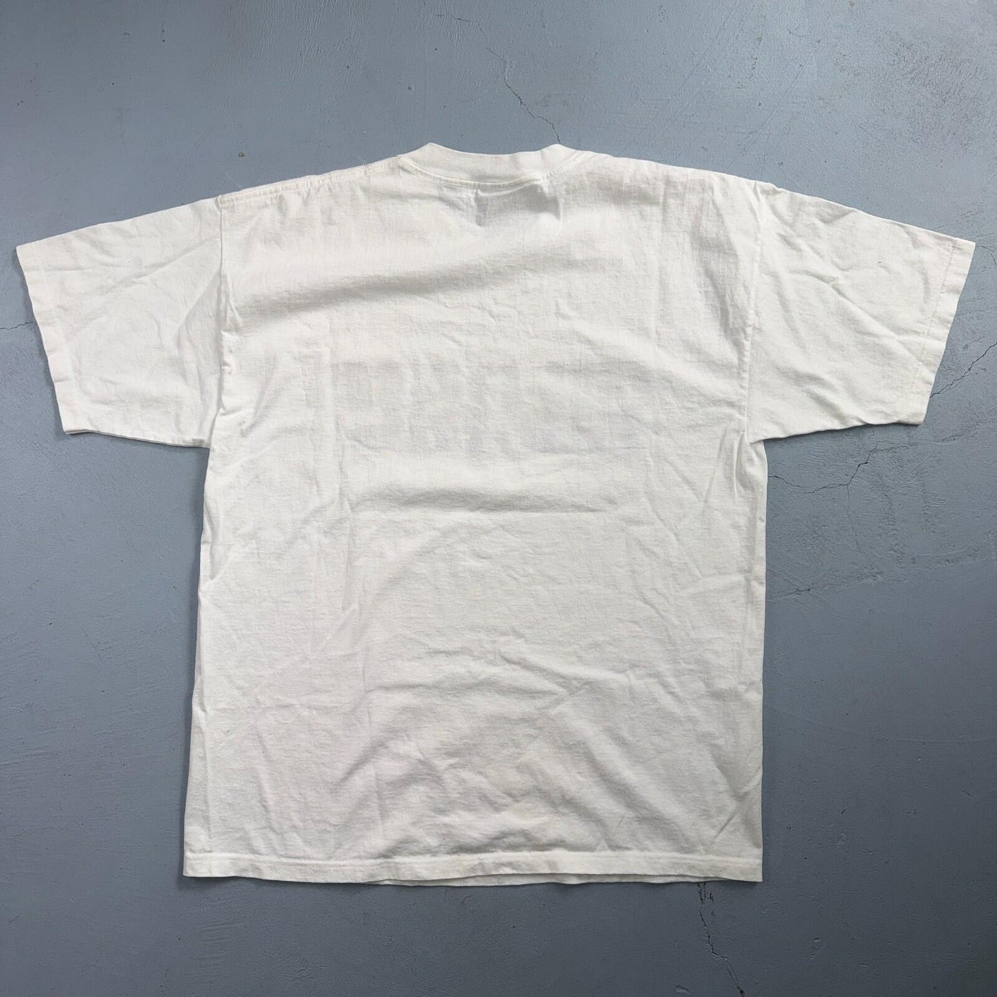Gildan Logo Promo Y2K VTG T Shirt Graphic On Shirt Tag 2000s RARE Music Classic