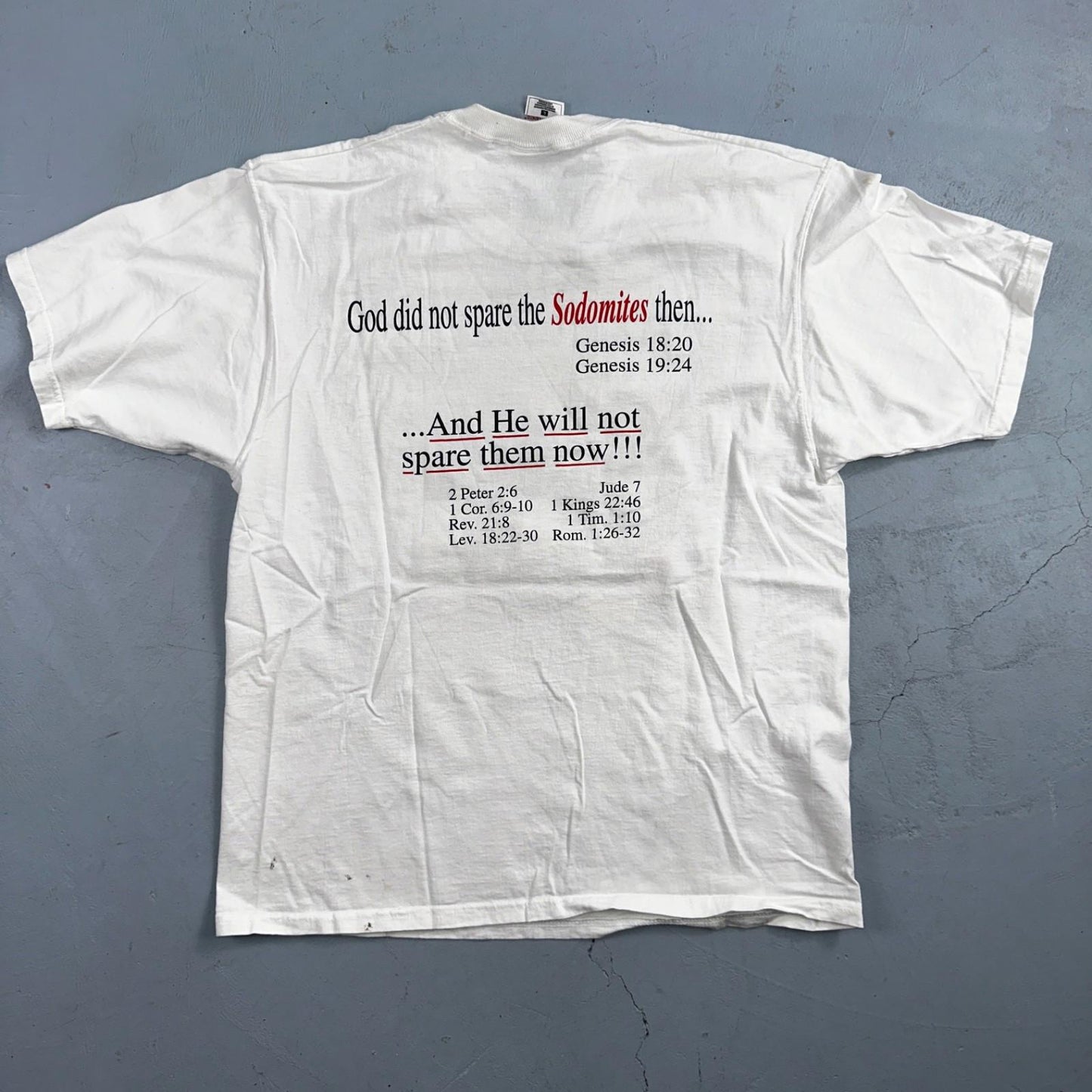 Jesus God VTG T Shirt Sodomite End Of World Genesis Earth Bible Study Graphic