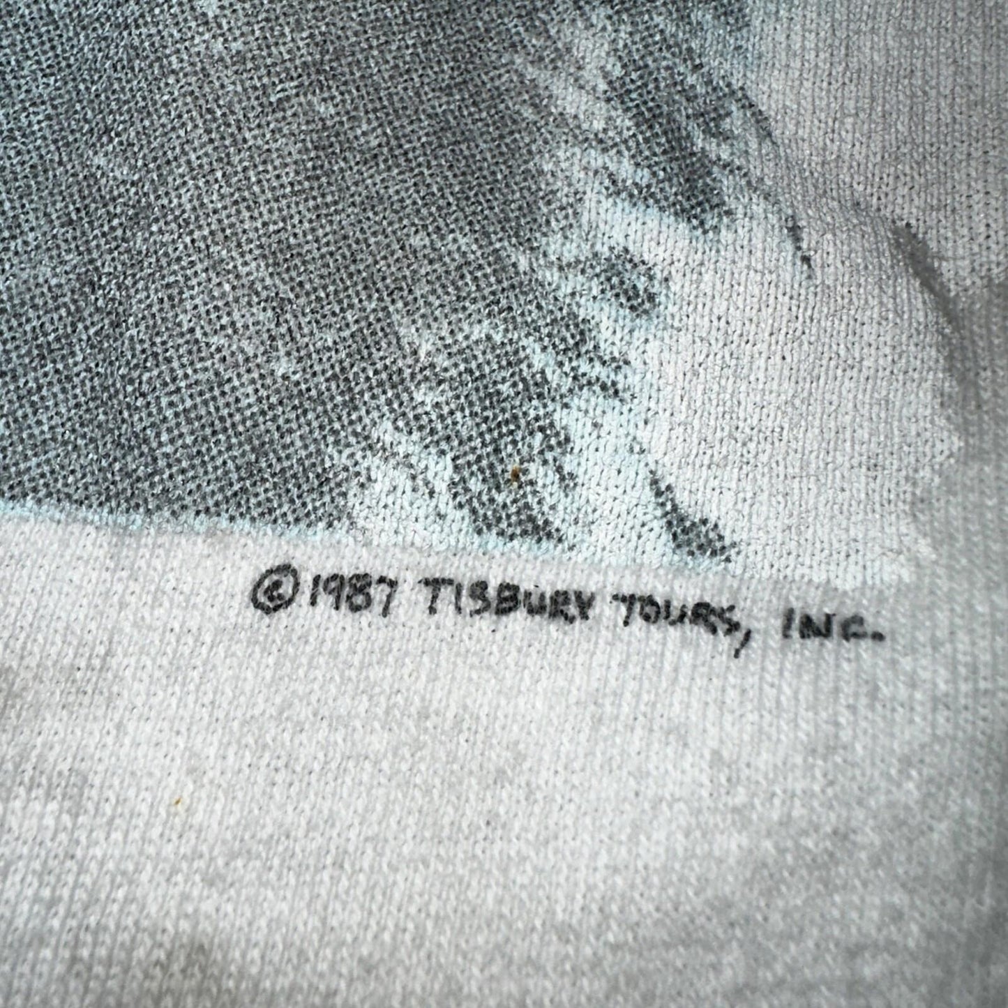 James Taylor Never Die Young VTG T Shirt 80s Hanes XL Howling Wolf RARE Concert