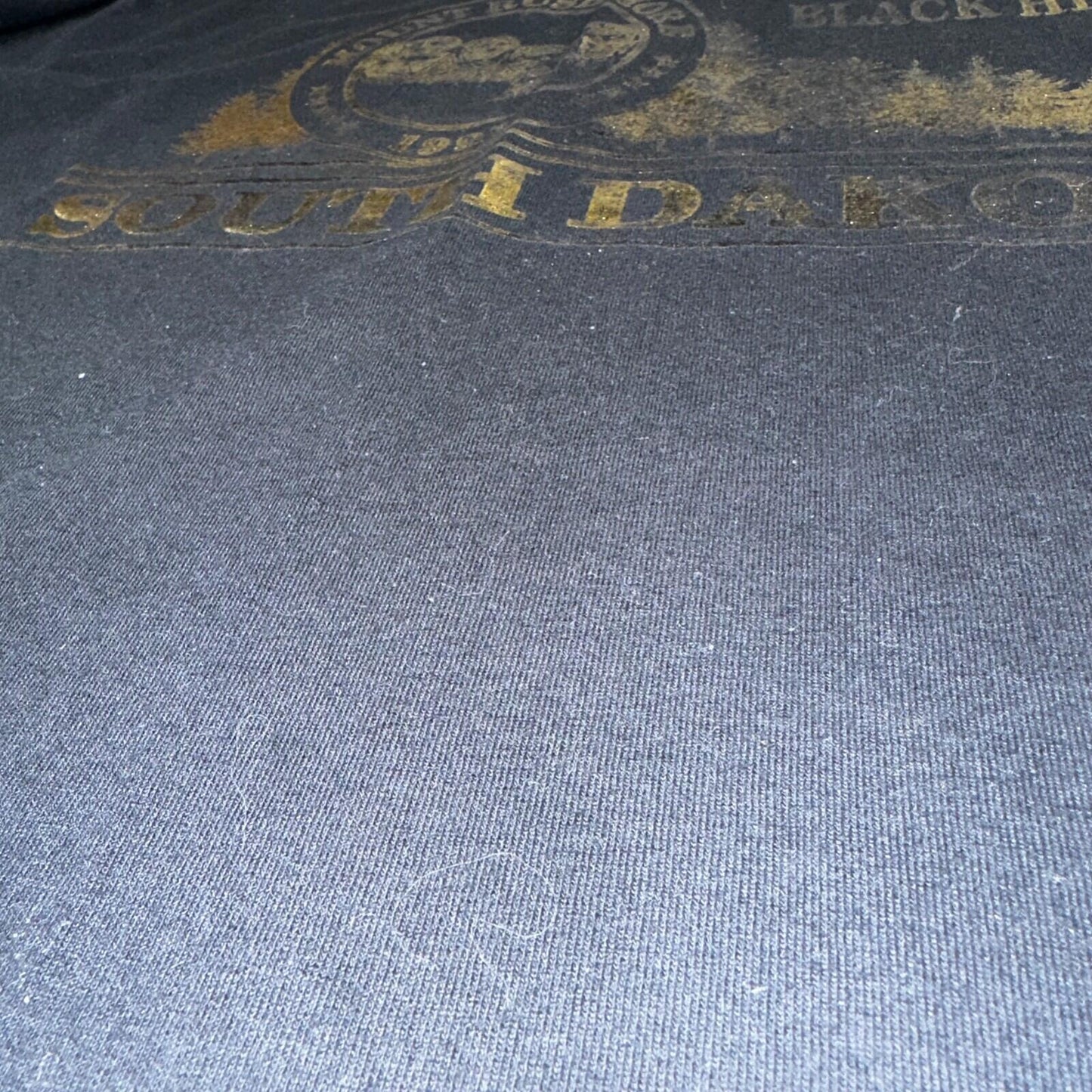South Dakota Mount Rushmore Graphic 90s VTG T Shirt Black Hills Gold Text USA