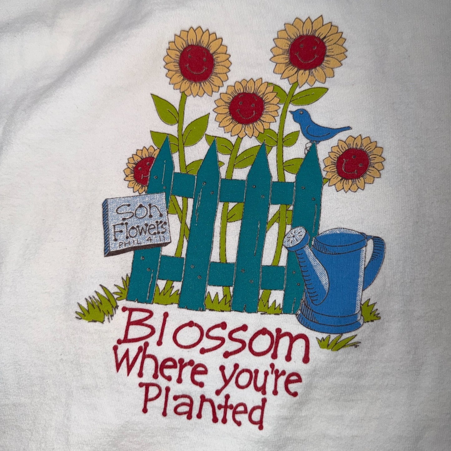 Vintage Gods Country Seeds Of Faith T Shirt Christian Religious Graphic Jesus