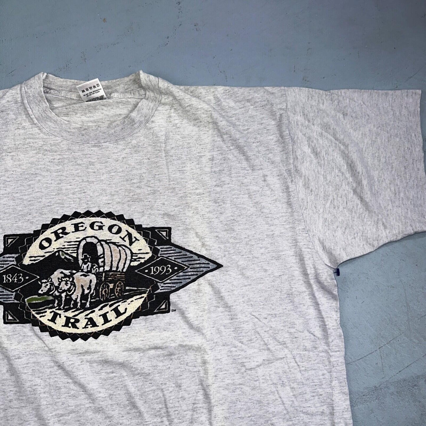 Oregon Trail FOTL VTG T Shirt 90s Game 1993 Gray Single Stitch Rare Buffalo