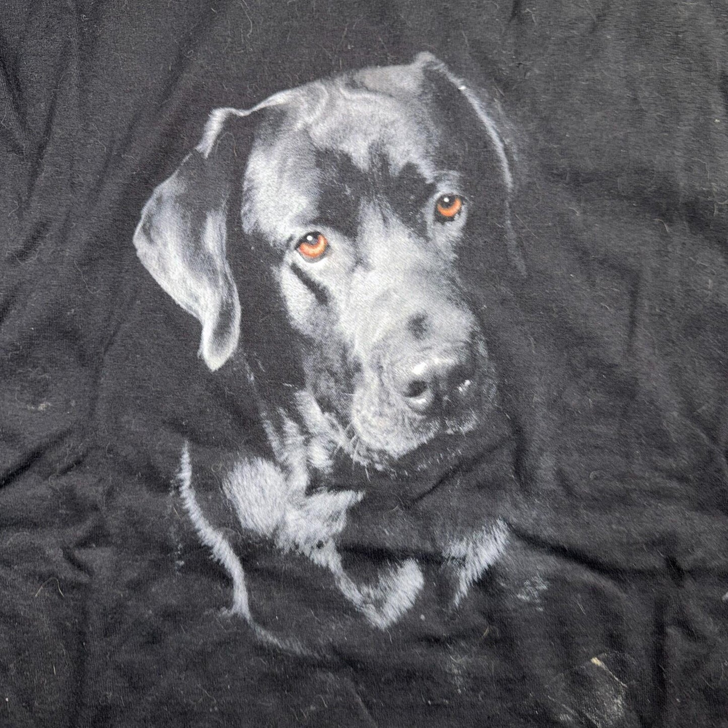 Black Lab Dog VTG T Shirt Art Photograph Animals Grunge Music Ducks Graphic 2XL